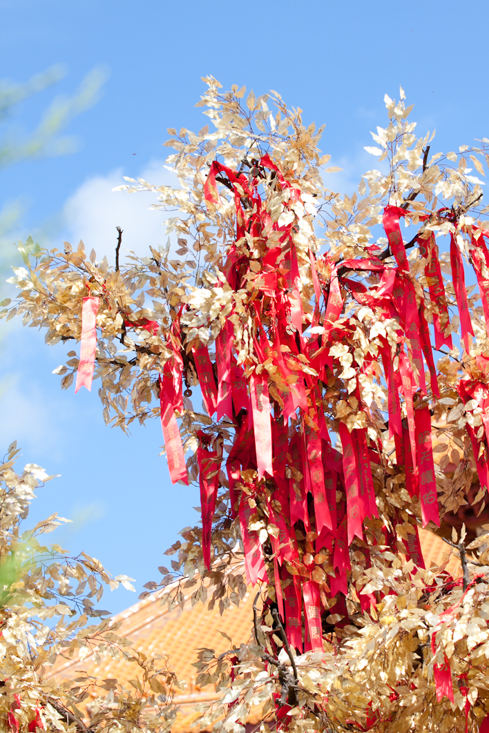 nan tien temple (1 of 8)