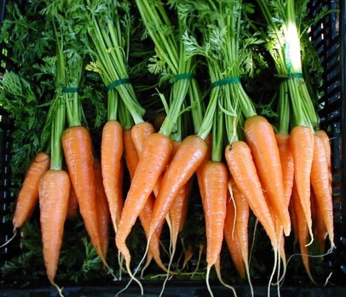 carrots - Healthy Snack Ideas