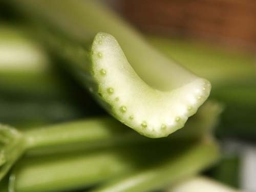 celery - Healthy Snack Ideas