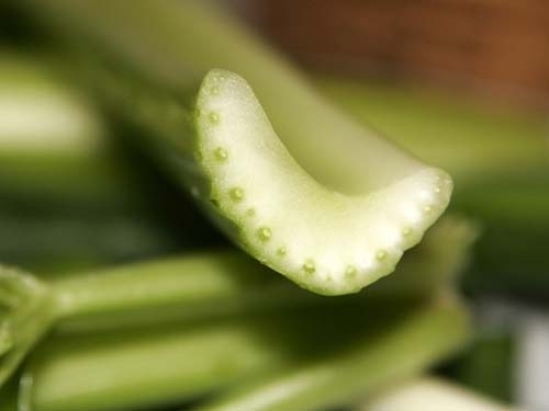 Healthy Snack Ideas celery - Healthy Snack Ideas