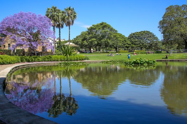 5 Best Jacaranda Spots In NSW