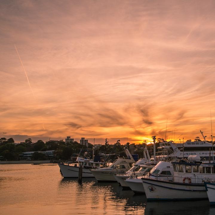 anzac bridge and sunset 1