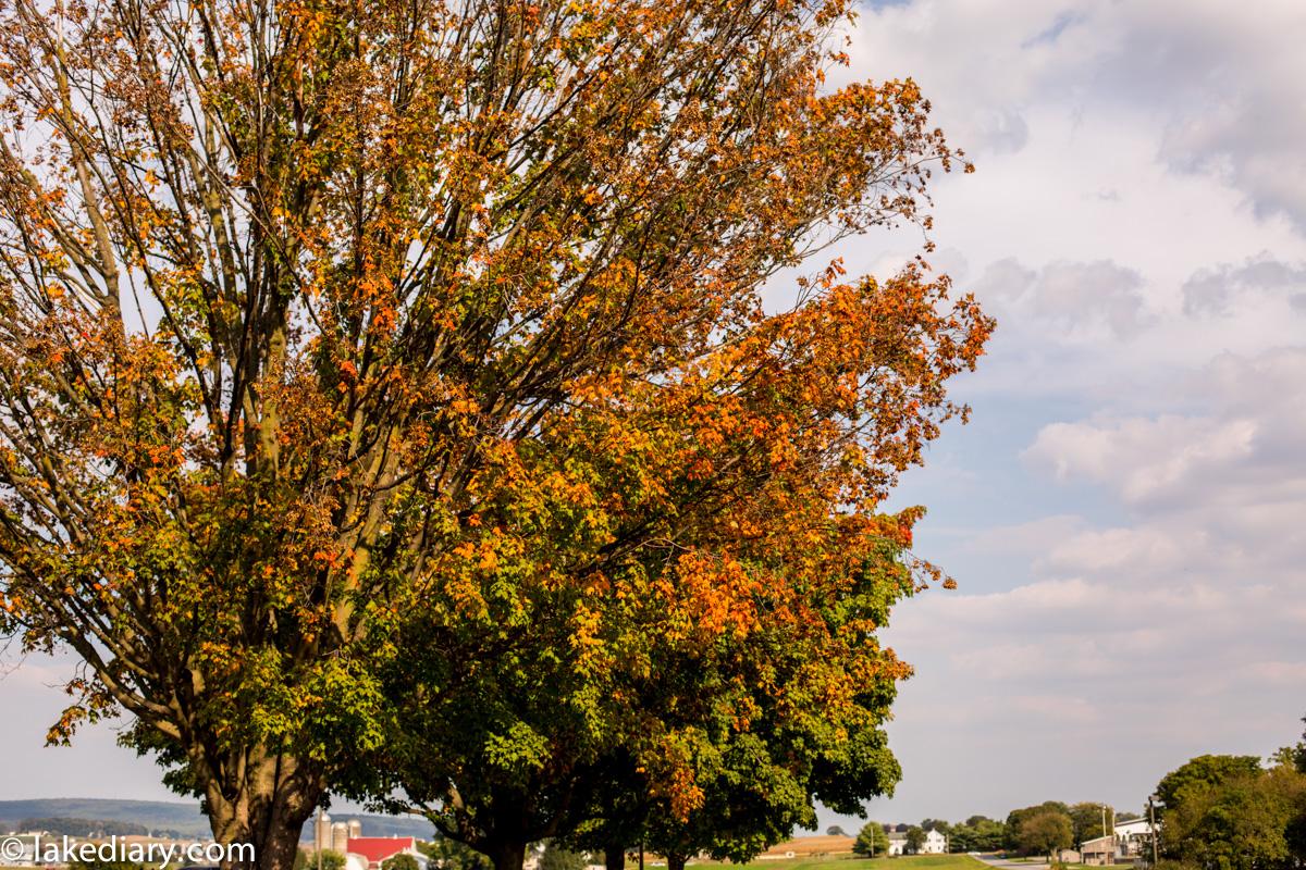 amish-country-9