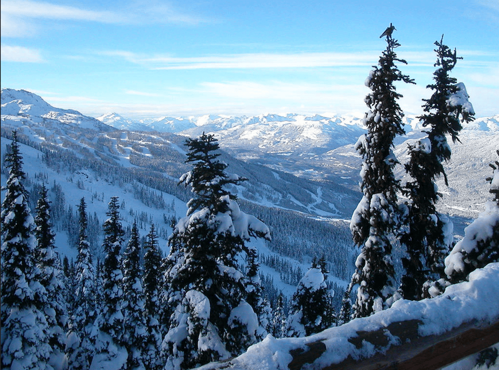 Whistler ski
