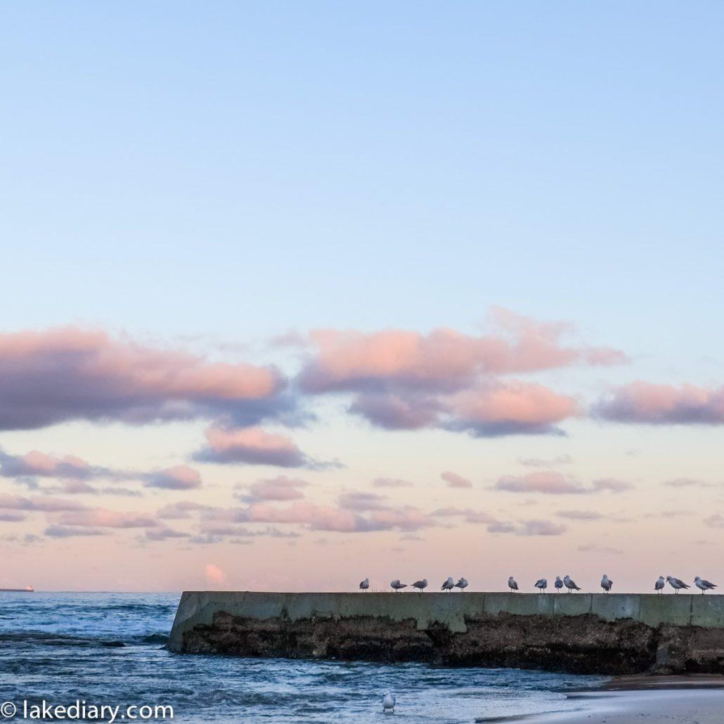austinmer beach-2