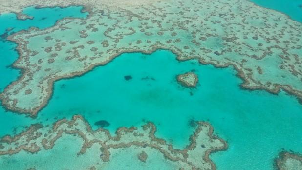 The heart reef great barrier reef