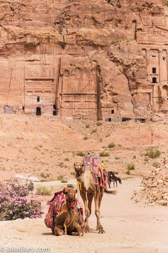 visit Petra